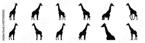 giraffe silhouette vector icon set, black clipart collection, Animal silhouette icons illustration graphic design
