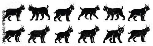 lynx silhouette vector icon set, black clipart collection, Animal silhouette icons illustration graphic design