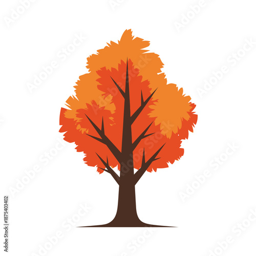 Vibrant Autumn Tree with Orange and Red Foliage - Isolated on White Background