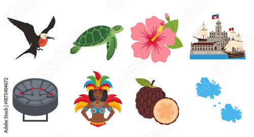 Collection of Caribbean symbols including a frigate bird, sea turtle, hibiscus, and Nelson's Dockyard