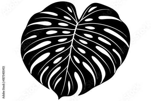 Beautiful shiloutte leaf for USA Designer