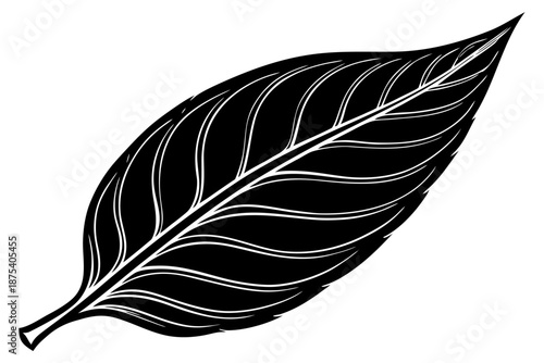 Beautiful shiloutte leaf for USA Designer