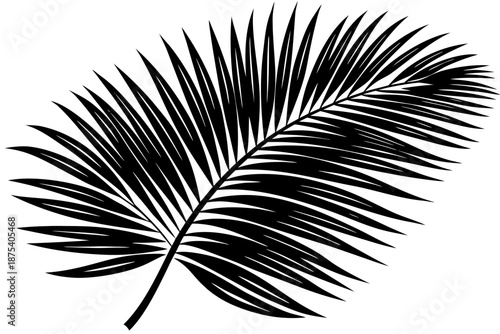 Beautiful shiloutte leaf for USA Designer