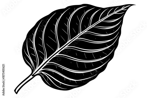 Beautiful shiloutte leaf for USA Designer