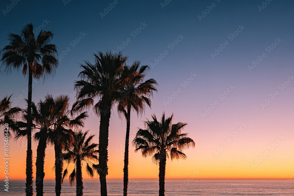 Obraz premium Silhouetted palm trees against a gradient sky during a vibrant sunset over a calm ocean