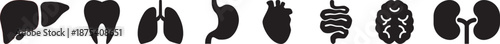 Body organs icon. Organs flat black icon