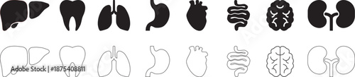 Human organ icon set with heart, lungs, brain, kidneys, liver, stomach and dental elements on transparent background