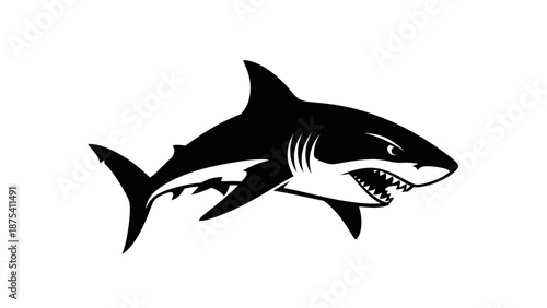 Black and White Shark Illustration.