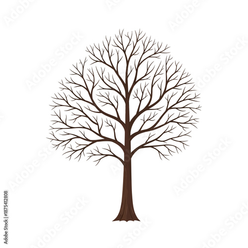 Bare Winter Tree Silhouette Vector Illustration