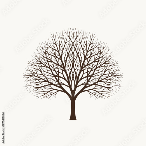 Bare Tree Silhouette with Intricate Branches on White Background