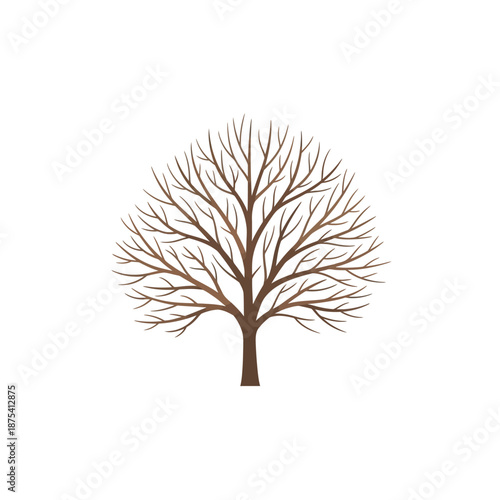 Bare Tree Silhouette - Winter or Autumn Season Isolated on White Background