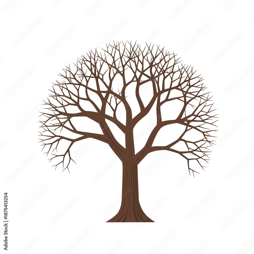 Obraz premium Bare Tree Silhouette, Winter Season, Isolated on White Background, Branching Structure