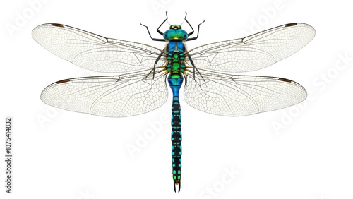 Fotografie Vibrant dragonfly PNG isolated on transparent background, detailed insect with i
