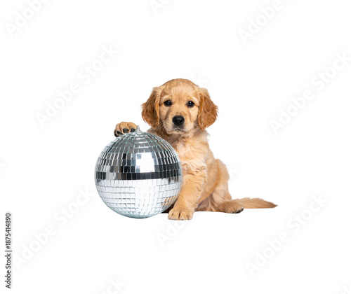 A beautiful disco ball in style against a white background