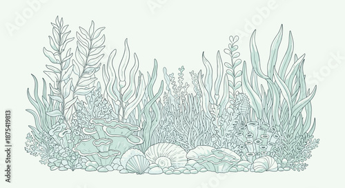 Detailed underwater illustration of a lush marine garden filled with various types of seaweed, coral, and scattered seashells on the ocean floor.
