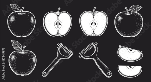 Chalkboard style illustration featuring whole apples, halved apples with seeds, apple slices, and two kitchen peelers on a dark background.