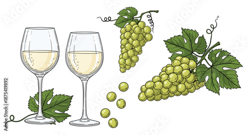 Pair of elegant glasses filled with white wine accompanied by fresh bunches of green grapes and vine leaves on a clean white background.