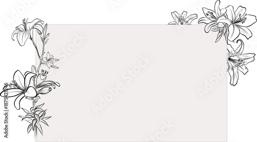 Rectangular Lily Flower Frame Black and White Illustration