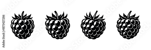 Berry vector icons set: black raspberry illustrations, fruit symbols collection