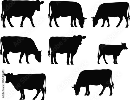 Cow silhouettes, grazing, standing, walking, livestock, agriculture, dairy, farm, rural, mammal, pasture, cattle, domestic, countryside, wildlife, food, 