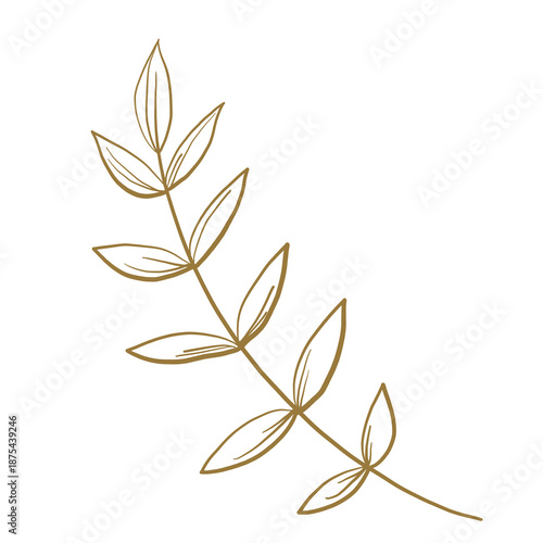 autumn leaves isolated on white