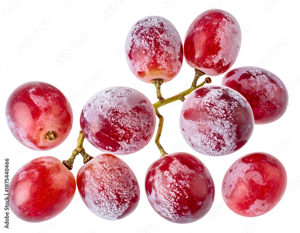 Fototapeta premium Frozen red grapes bunch covered with frost and ice crystals fresh fruit closeup on isolated background