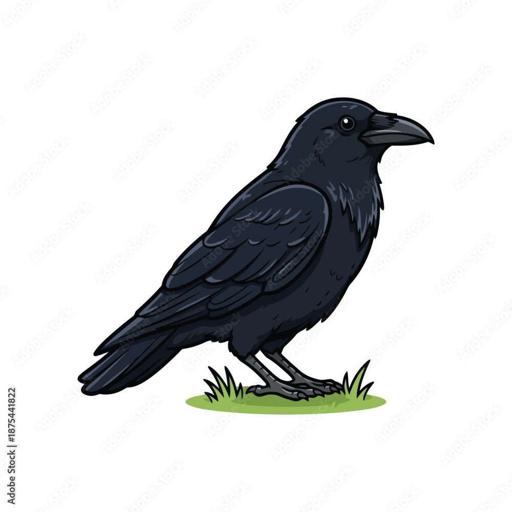 Fototapeta premium Crow Vector on White, Black Bird EPS Illustration