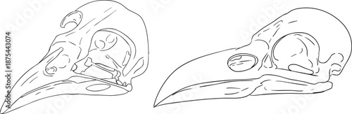 Mystical witch kit collection. Hand drawn line art with occult symbols. Perfect for modern witchcraft, tarot and esoteric designs. Boho magic vibe