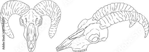 Mystical witch kit collection. Hand drawn line art with occult symbols. Perfect for modern witchcraft, tarot and esoteric designs. Boho magic vibe