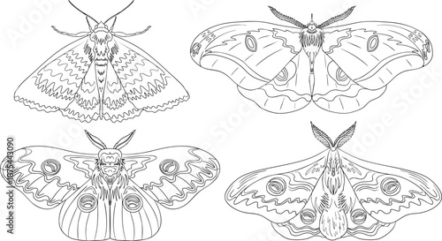 Mystical witch kit collection. Hand drawn line art with occult symbols. Perfect for modern witchcraft, tarot and esoteric designs. Boho magic vibe