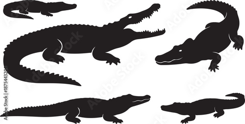 set of black dinosaur silhouettes isolated on white background vector illustration