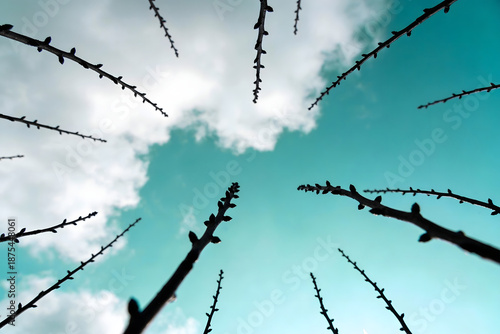 barbed wire against blue sky