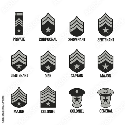 Military Rank Insignia Collection: From Private to General