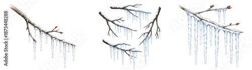 Wallpaper Mural A set of icicles hanging from tree branches on transparent background Torontodigital.ca