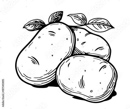 A black and white illustration of three pears with leaves