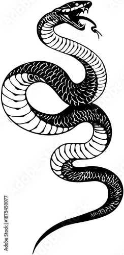 A black and white illustration of a snake coiled in a threatening pose