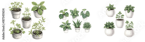 Wallpaper Mural A collection of various potted plants on a transparent background Torontodigital.ca