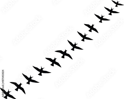 Black bird flock silhouette flying in diagonal line formation for nature sky design cad drawing flat vector illustration on white