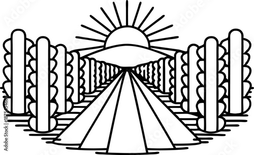 Sunrise over symmetrical vineyard rows with trellis and hills in background