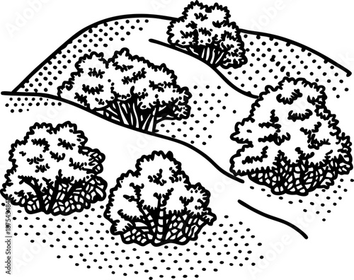Hills with bushes in black and white line art style, nature landscape with vegetation and terrain