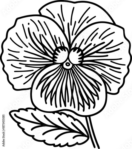 Outline drawing of a pansy flower with detailed petals and a single leaf for coloring or design