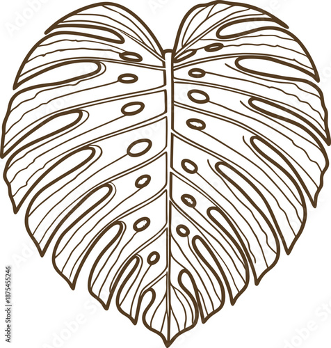 Monstera leaf outline illustration tropical foliage drawing, nature botany design