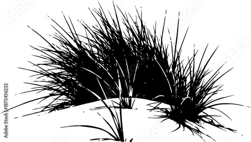 Black silhouette of wild grass clump isolated on white background