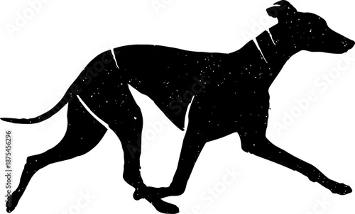 Silhouette of a graceful running greyhound dog in profile on a white background