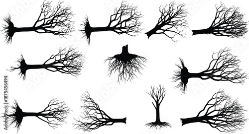 Cad Drawing Flat Vector Illustration of Black Tree Silhouettes with Bare Branches and Uprooted Stumps Set for Winter Nature Design, Isolated Art