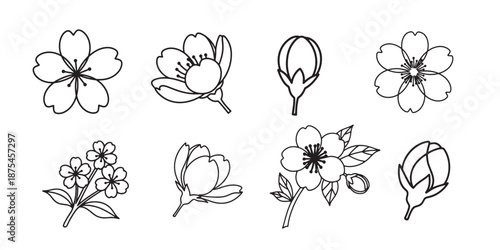Collection of hand drawn cherry blossom floral elements in black and white