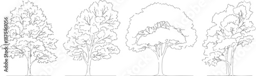 Set of 4 Outline Tree Vector Illustrations