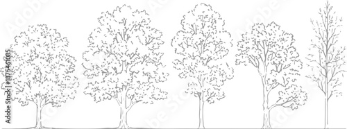 Set of 5 Hand-Drawn Tree Line Art Illustrations Vector