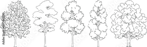 Set of 5 Outline Tree Illustrations Vector