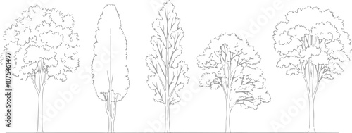 Set of 5 Outline Tree Illustrations Vector